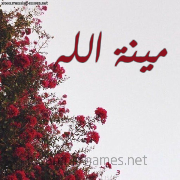 شكل 18 صوره الورد الأحمر للإسم بخط رقعة صورة اسم مينة الله Menna-Allah